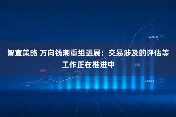 智宣策略 万向钱潮重组进展：交易涉及的评估等工作正在推进中