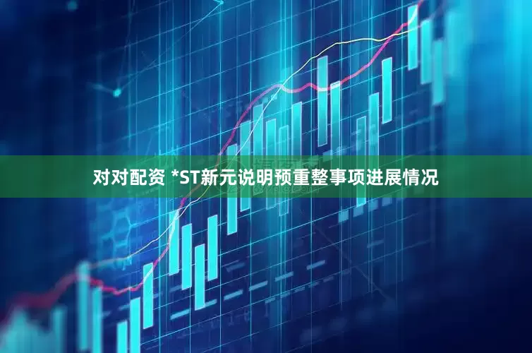对对配资 *ST新元说明预重整事项进展情况