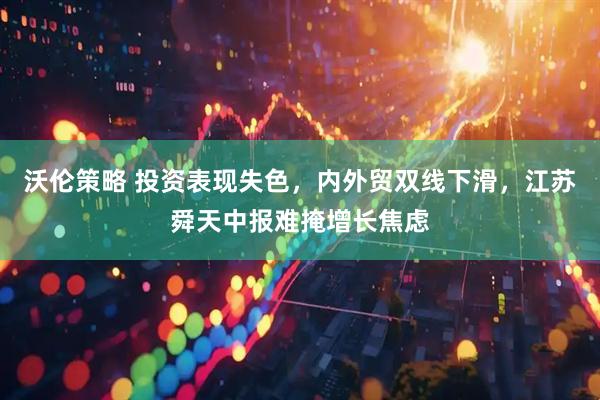 沃伦策略 投资表现失色，内外贸双线下滑，江苏舜天中报难掩增长焦虑