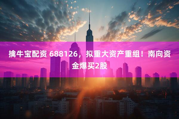 擒牛宝配资 688126，拟重大资产重组！南向资金爆买2股