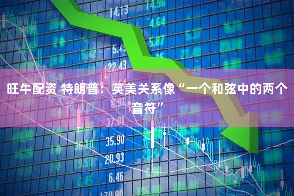 旺牛配资 特朗普：英美关系像“一个和弦中的两个音符”