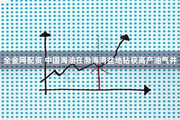 全金网配资 中国海油在渤海湾盆地钻获高产油气井