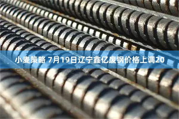 小麦策略 7月19日辽宁鑫亿废钢价格上调20