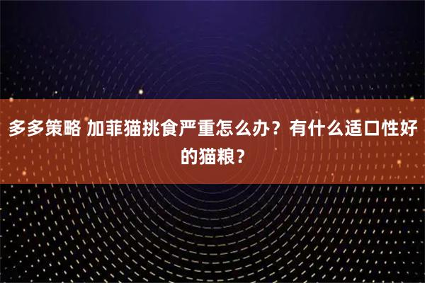 多多策略 加菲猫挑食严重怎么办?有什么适口性好的猫粮?