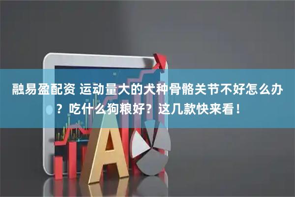 融易盈配资 运动量大的犬种骨骼关节不好怎么办?吃什么狗粮好?这几款快来看!