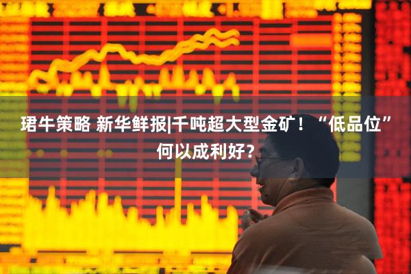珺牛策略 新华鲜报|千吨超大型金矿!“低品位”何以成利好?
