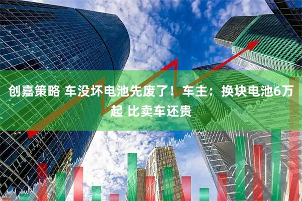 创嘉策略 车没坏电池先废了！车主：换块电池6万起 比卖车还贵