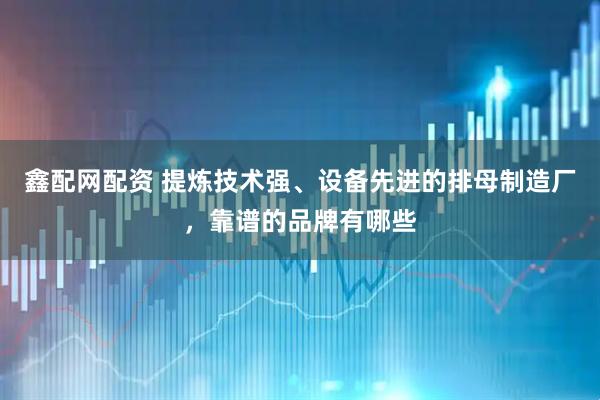 鑫配网配资 提炼技术强、设备先进的排母制造厂，靠谱的品牌有哪些